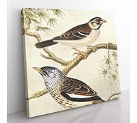 Two Birds On Branches by Theo van Hoytema Classic Painting Canvas Wall Art Print Ready to Hang, Framed Picture for Living Room Bedroom Home Office Décor, 35x35 cm (14x14 Inch)