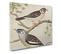 Two Birds On Branches by Theo van Hoytema Classic Painting Canvas Wall Art Print Ready to Hang, Framed Picture for Living Room Bedroom Home Office Décor, 14x14 Inch (35x35 cm)