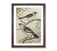 Two Birds On Branches By Theo Van Hoytema Classic Painting Framed Wall Art Print, Ready to Hang Picture for Living Room Bedroom Home Office Décor, Walnut A4 (34 x 25 cm)