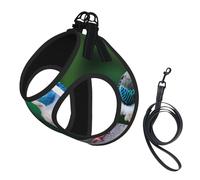 Two Birds print Dog Harness and Leash Set, Reflective Adjustable Puppy Vest for Small Medium Large Dogs, Cats
