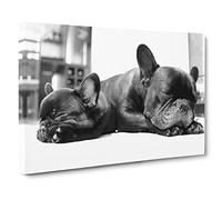 Two Black French Bulldogs Dog Canvas Print | Gallery Wrapped 30mm Frame Wall Art | 20x14 inches | Ready to Hang | French Animals Picture | Living Room Bedroom Lounge Office