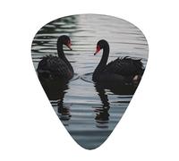 Two black swans guitar picks in three different thicknesses, suitable for electric guitar and band players