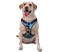 Two Brave Cats are Floating On The Sea Iceberg Pattern Dog Harness - Lightweight,Soft,Adjustable Small Harness and Leash Set, Suitable for Puppy Small and Medium-Sized Dog-Medium
