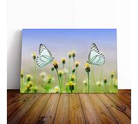 Two Butterflies on Yellow Flowers Canvas Print | Gallery Wrapped 30mm Frame Wall Art | 20x14 inches | Ready to Hang | Modern Floral Picture | Living Room Bedroom Lounge Office