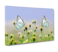 Two Butterflies on Yellow Flowers Canvas Print | Gallery Wrapped 30mm Frame Wall Art | 20x14 inches | Ready to Hang | Modern Floral Picture | Living Room Bedroom Lounge Office