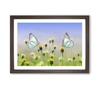 Two Butterflies on Yellow Flowers Framed Print | A2 Walnut Framed Wall Art | Ready to Hang | Modern Floral Picture | Living Room Bedroom Lounge Office