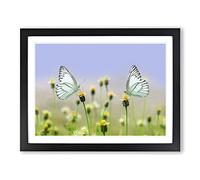 Two Butterflies on Yellow Flowers Modern Framed Print | A4 Black Framed Wall Art | Ready to Hang | Modern Floral Picture | Living Room Bedroom Lounge Office