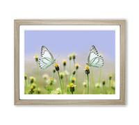 Two Butterflies on Yellow Flowers Modern Framed Print | A4 Oak Framed Wall Art | Ready to Hang | Modern Floral Picture | Living Room Bedroom Lounge Office