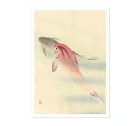 Two Carp Ohara Koson Poster, Japanese Woodblock Ukiyo-E Print, Vintage Nature Art Picture Animal Painting Wall Art Exhibition, Japan Artwork Home Decor, A3 (Print Only) - 42x29.7cm