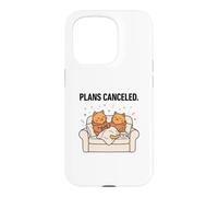 Two Cats Plans Canceled Funny Couch Sitting Tea Kitten Gift Case for iPhone 15 Pro