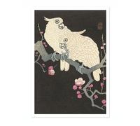 Two Cockatoos On Branch With Plum Blossom Ohara Koson Poster, Japanese Woodblock Ukiyo-E Print, Vintage Bird Art Picture Animal Painting Wall Art, Birds Home Decor, A4 (Print Only) - 29.7x21cm
