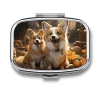 Two Corgis Pill Box with 2 Compartments Portable Metal Medicine Organizer for Pocket Purse and Travel Compact Pill Case and Fish Oil Vitamins Supplements