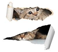 Two Cute 3D Cat Stickers - Funny Car Stickers - Wheelie Bin Stickers - Laptop Stickers