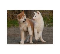 Two Cute Akita Dog,500 Pieces Puzzles for Adults-Wooden Jigsaw Puzzle for Adults Elderly