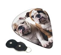 Two Cute Bulldog Dogs 6 Pack Guitar Picks With Holder, Personalized Guitar Plectrums Non-Slip Portable Ukulele Bass Picks 0.71mm For Acoustic Guitar Lovers Gifts