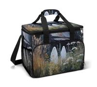 Two Cute Ghosts in The Garden Old House Camping Cooler Bag Insulated Beach Coolers Portable Leak Proof Bags with Shoulder Strap
