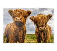 Two Cute Highland Cows - Premium 1000 pieces Puzzle - MyPuzzle special collection from Puzzle Galaxy