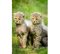 Two Cute Little Leopards - 1000-Piece Paper Puzzle - Challenge Game for Home Wall Decoration, 38 x 52 cm