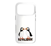 Two Cute puffins from Reykjavík Iceland Case for iPhone 17 Pro