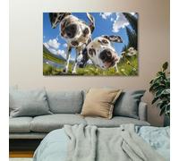 Two Dalmatians Looking Down Wall Decor Canvas Picture, Home Art Print | For bedroom, canvas wall art helps complete the room alongside existing decor