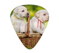 Two Dogs In A Basket Printed,12 Pcs Guitar Pick,3 Different Thickness Plectrums for Acoustic Guitar Bass Ukulele (0.46mm 0.96mm 0.71mm)