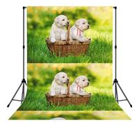 Two Dogs In A Basket Printed, Photography Backdrop Photo Props 5x7FT Photo Background for Party Home Decoration
