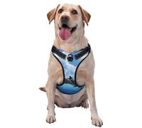 Two Dolphins,Pet Harness,Adjustable Reflective Dog Harness,Pet Leash Vest,M