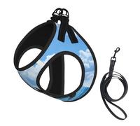 Two Dolphins,Pet Harness,Adjustable Reflective Dog Harness,Pet Leash Vest,S