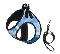 Two Dolphins print Dog Harness and Leash Set, Reflective Adjustable Puppy Vest for Small Medium Large Dogs, Cats