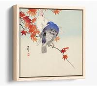 Two Doves On Autumn Branch, OHARA KOSON Canvas Floater Frame Square Print Picture Art - Light Oak Frame 12 inch wide x 12 inch high