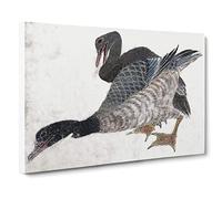Two Ducks By Katsushika Hokusai Canvas Print | Gallery Wrapped 30mm Frame Wall Art | 24x16 inches | Ready to Hang | Asian Bird Picture | Living Room Bedroom Lounge Office