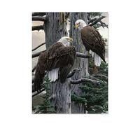 Two Eagles on the Pine Tree，Jigsaw Puzzles for Adults 1000 Pieces Puzzles for 1000 Piece Impossible Puzzle for Adults Educational Games（50x70cm）-L91
