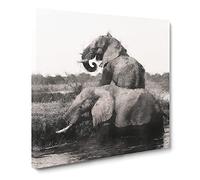 Two Elephants Canvas Print | Gallery Wrapped 30mm Frame Wall Art | 14x14 inches | Ready to Hang | Modern Animal Picture | Living Room Bedroom Lounge Office