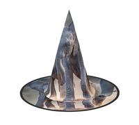 Two Elephants Playing Halloween Witch Hat Halloween Costumes For Women Men Witch Hats Fancy Dress