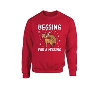 Two F*cking Deer Christmas Jumper, Begging For A Pegging Sweatshirt, Xmas Secret Santa Sweatshirt, Xmas Unisex Top(L, Red)