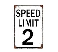 Two Fast Birthday Decorations - 20 X 30 CM Vintage Speed Limit Sign for 2nd Birthday, Funny Metal Signs, Race Car Decorations, Wall Art Poster for Bedroom Racing Fans Boy Girl 2 Year Old Party Decor