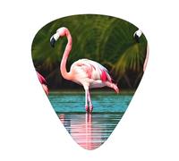 Two Flamingos Guitar Picks Set-Premium Abs Material,Various Thicknesses-Enhance Your Playing Experience
