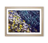 Two Forests In Denmark Modern Art Framed Print | A2 Oak Framed Wall Art | Ready to Hang | Modern Nature Picture | Living Room Bedroom Lounge Office