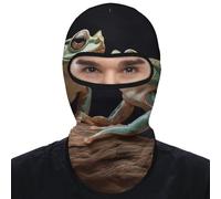 Two Frogs Balaclava Ski Mask Thermal Winter Face Mask for Men Women Summer Cooling Neck Gaiter Sun Protection Hood Full Face Cover for Motorcycle Cycling Gear, Style, One size
