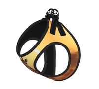 Two Giraffe Running on The Barren Print Step in Dog Harness and Leash Set,Mesh Pet Vest Harness for Small Dogs and Cats