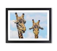 Two Giraffes Chewing Modern Framed Print | A3 Black Framed Wall Art | Ready to Hang | Modern Animal Picture | Living Room Bedroom Lounge Office