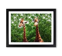 Two Giraffes Modern Framed Print | A2 Black Framed Wall Art | Ready to Hang | Modern Animal Picture | Living Room Bedroom Lounge Office