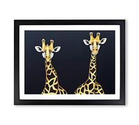 Two Giraffes Vol.1 Framed Print | A3 Black Framed Wall Art | Ready to Hang | Modern Animal Picture | Living Room Bedroom Lounge Office