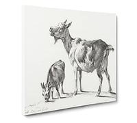 Two Goats by Jean Bernard Canvas Print | Gallery Wrapped 30mm Frame Wall Art | 14x14 inches | Ready to Hang | Modern Animal Picture | Living Room Bedroom Lounge Office
