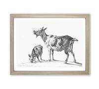 Two Goats By Jean Bernard Vintage Framed Print | A2 Oak Framed Wall Art | Ready to Hang | Classic Animal Picture | Living Room Bedroom Lounge Office