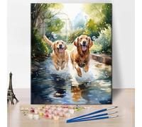Two Golden Retriever Dogs Playing in Water - Paint by Numbers for Adults Kids Ages 8-12 DIY Arts Craft Beginner Cute Dog Paint by Number Kit Oil Painting Adult Paint by Number Kits On Canvas 16"x20"