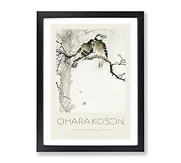 Two Grey Starlings By Ohara Koson Exhibition Museum Asian Japanese Framed Wall Art Print, Ready to Hang Picture for Living Room Bedroom Home Office Décor, Black A4 (34 x 25 cm)