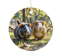 Two Guinea Pigs Hanging OutChristmas Ornaments Christmas Round Ceramic Pendant Christmas Hanging Decor for Women Men Xmas Tree Decorations Keepsake