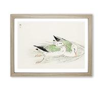 Two Gulls By Numata Kashu Asian Japanese Framed Wall Art Print, Ready to Hang Picture for Living Room Bedroom Home Office Décor, Oak A4 (34 x 25 cm)