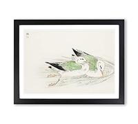 Two Gulls By Numata Kashu Asian Japanese Framed Wall Art Print, Ready to Hang Picture for Living Room Bedroom Home Office Décor, Black A3 (46 x 34 cm)